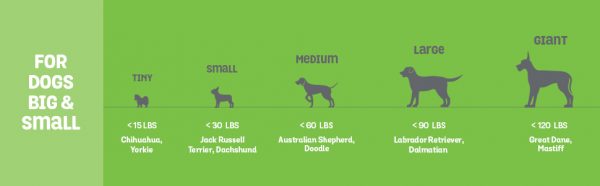 Benebone Real Bacon Durable Wishbone Dog - Image 3