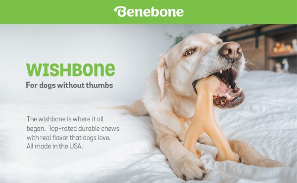 Benebone Real Bacon Durable Wishbone Dog - Image 10