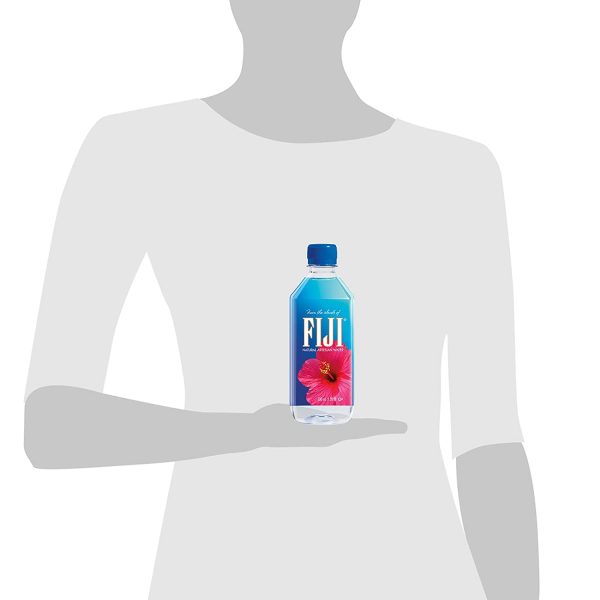 FIJI Natural Artesian Water, 16.9 Fl Oz (Pack of 24) - Image 4