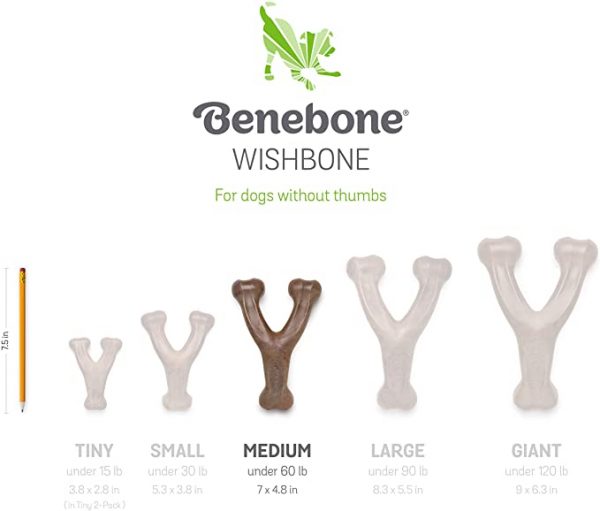 Benebone Real Bacon Durable Wishbone Dog - Image 11