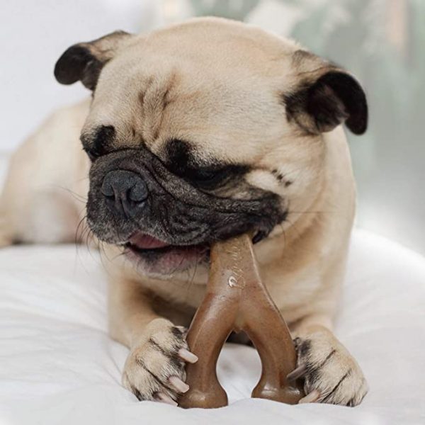 Benebone Real Bacon Durable Wishbone Dog - Image 4