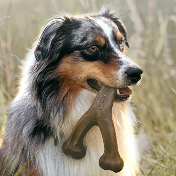 Benebone Real Bacon Durable Wishbone Dog - Image 8